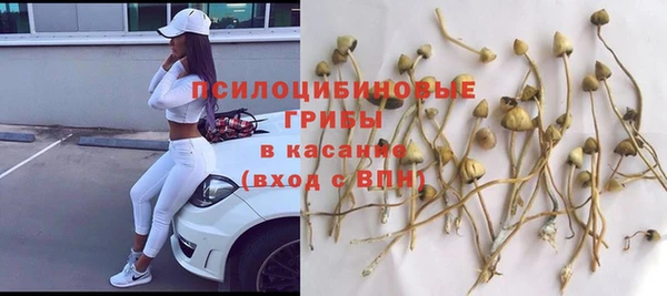 бутират Баксан