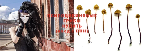 хмурый Балабаново